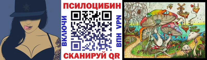 Галлюциногенные грибы Psilocybine cubensis гидра рабочий сайт Весьегонск купить наркотики цена